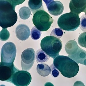 Meet your Posher, Jess